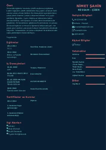 Ressam Cv Örnekleri cv indir